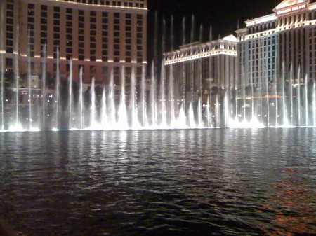 IMG_1242 IMG_1242