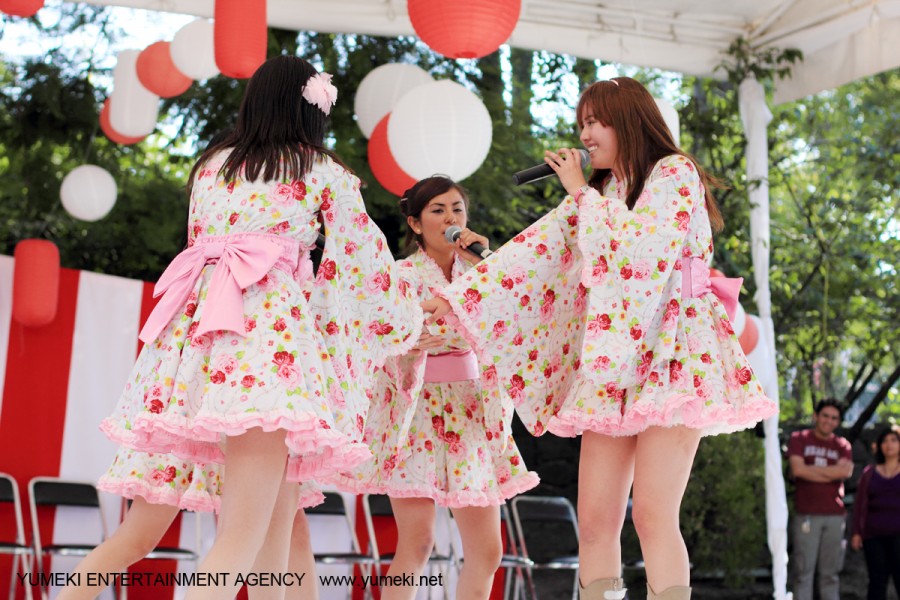 Akimatsuri 2010